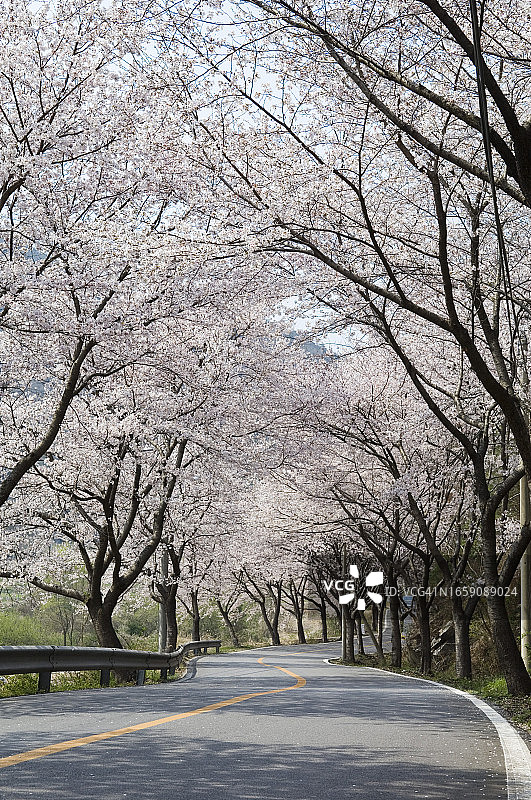 全罗南道宝城郡大元寺图片素材