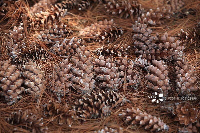 频闪螺母图片素材
