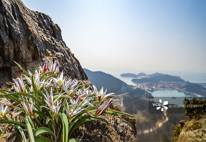 姑群山岛三岔口图片素材