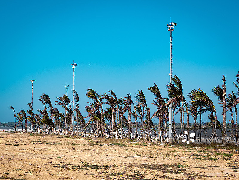 强风吹拂着干燥地面和海边的棕榈树图片素材