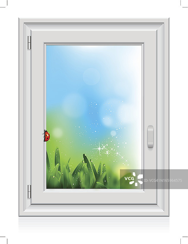 窗户上的瓢虫图片素材