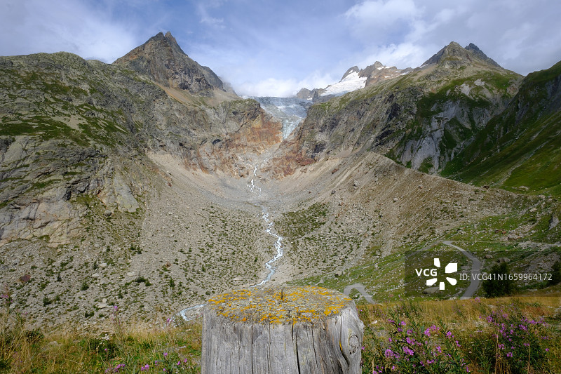 阿尔卑斯山景观木原木植被图片素材