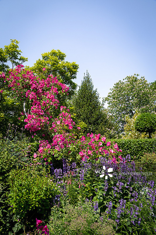 英式花园图片素材