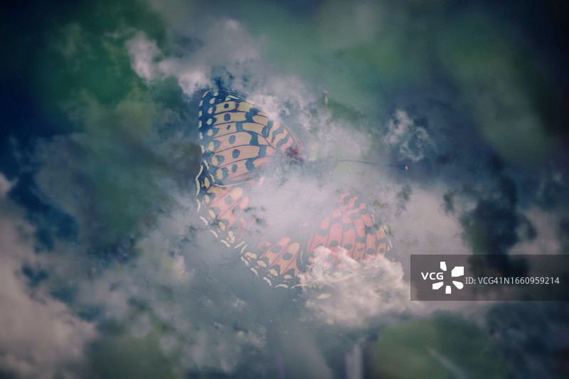 天空中的蝴蝶，抽象元宇宙图片素材