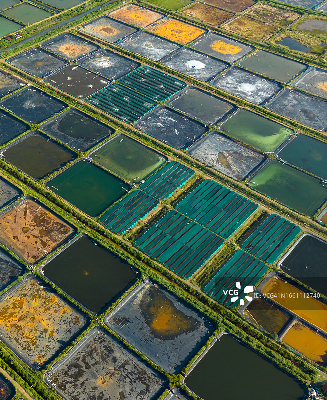 坚江省河仙沿海彩色虾场航拍照片图片素材