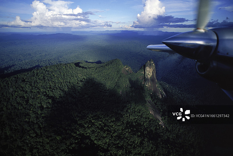苏里南热带雨林航拍图片素材