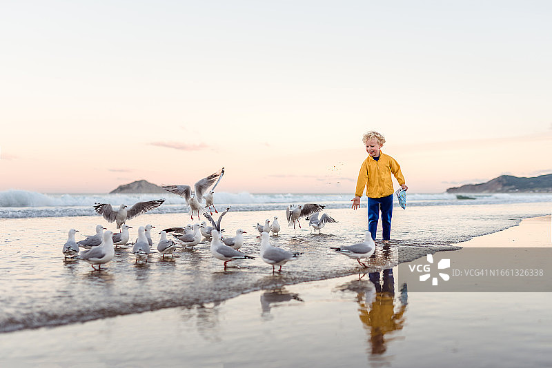 快乐的小男孩与海鸥分享零食图片素材