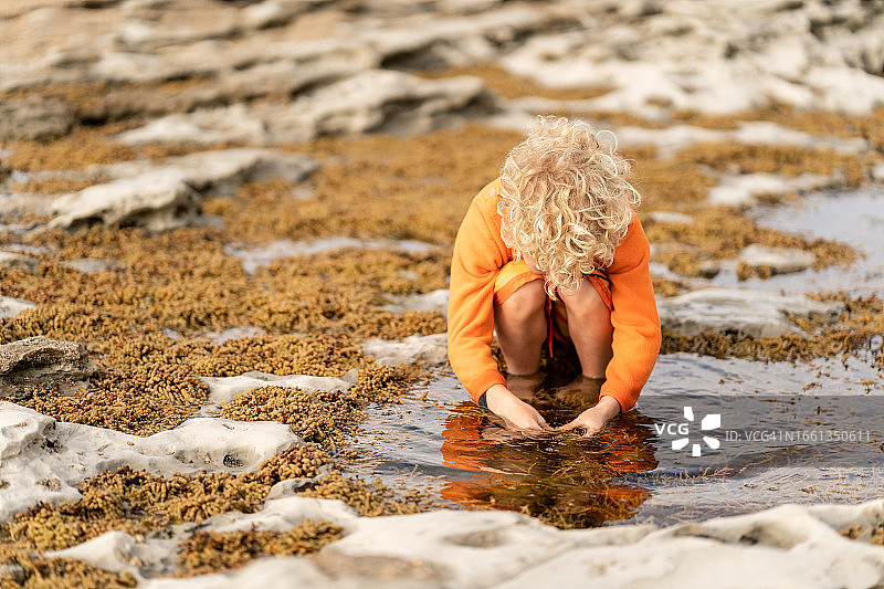 在新西兰的岩石池里玩耍的金发卷发儿童图片素材