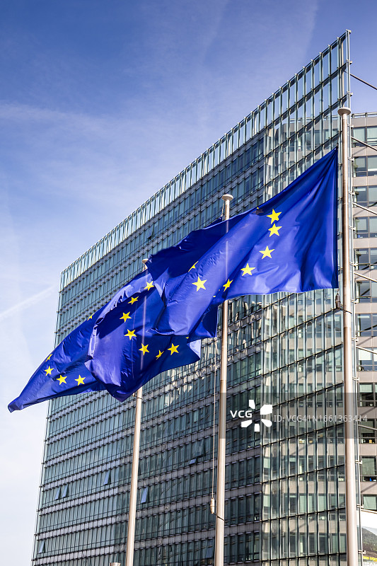 在沙勒马尼大厦前飘扬的欧盟旗帜图片素材