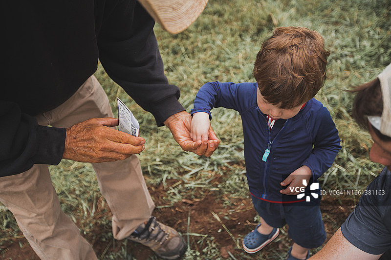 小男孩从爷爷那里拿种子准备种植图片素材