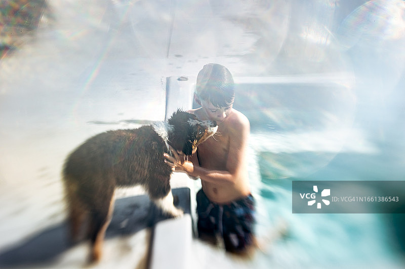 夏天泳池边幼犬亲吻9岁男孩图片素材