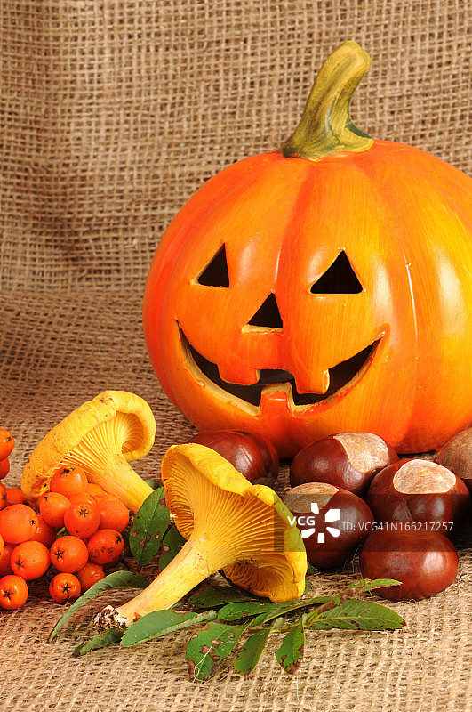 陶瓷万圣节南瓜与栗子、蘑菇图片素材