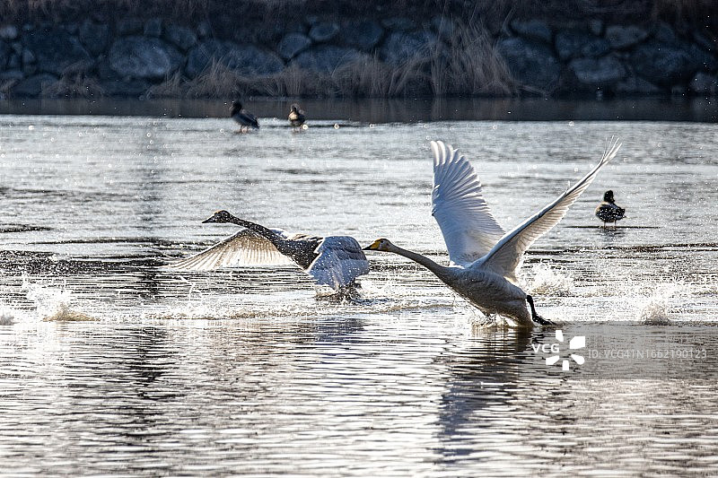 韩国庆尚北道龟尾市智山洞大坪路图片素材