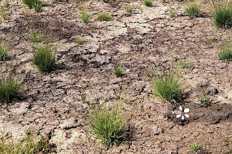 德国下萨克森州的泥炭地干涸，因干旱和气候危机导致泥炭土收缩开裂图片素材