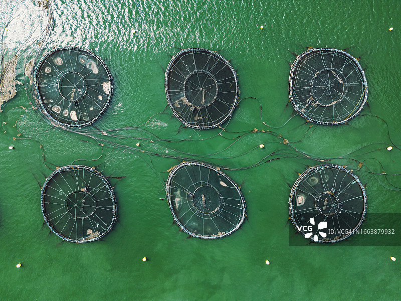 养鱼笼图片素材