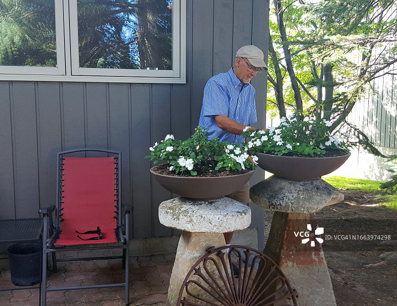 老年男性维护树荫花园图片素材