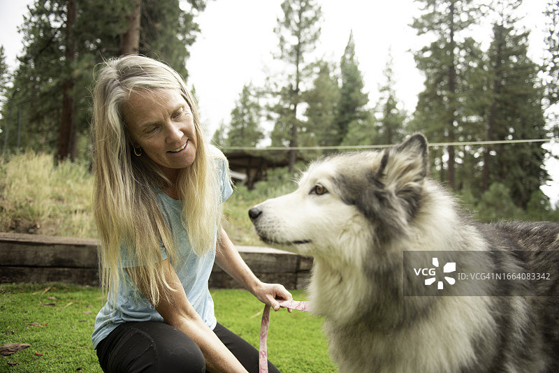 美容阿拉斯加犬的女人肖像图片素材