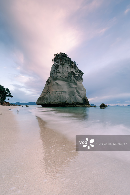 新西兰科罗曼德尔哈黑教堂湾图片素材