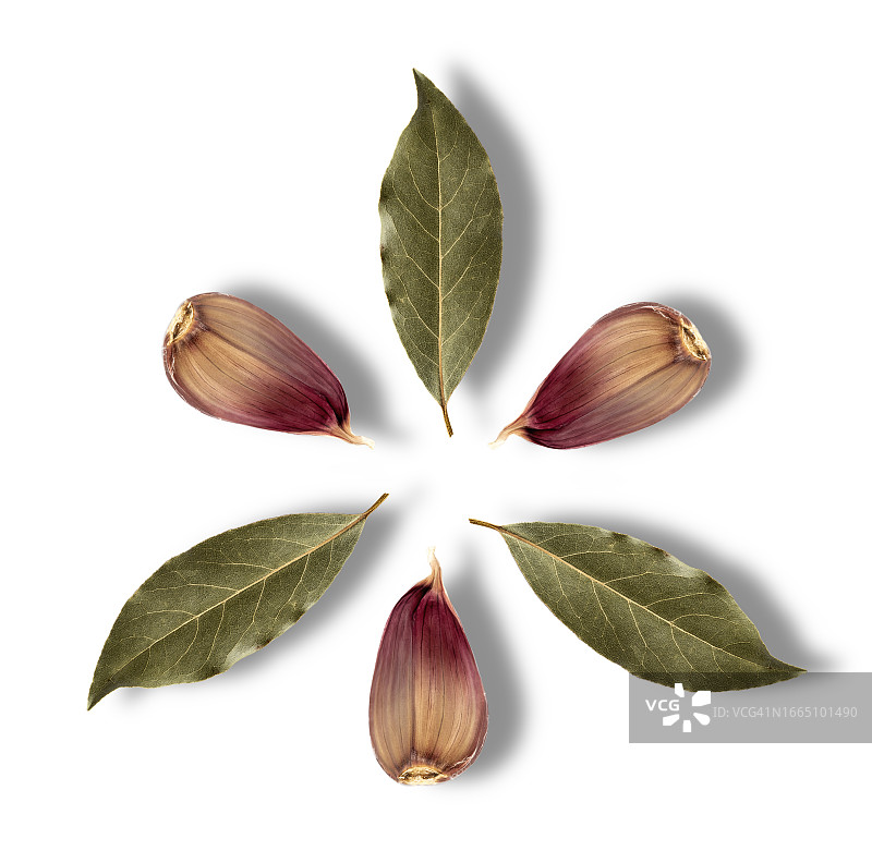 大蒜和月桂叶特写，白色背景，带小阴影图片素材