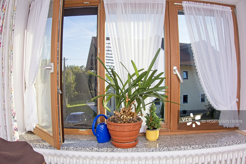 带有花盆的窗户图片素材