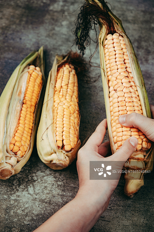 手持玉米棒剥皮特写图片素材