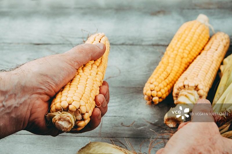 手持玉米棒剥皮特写图片素材