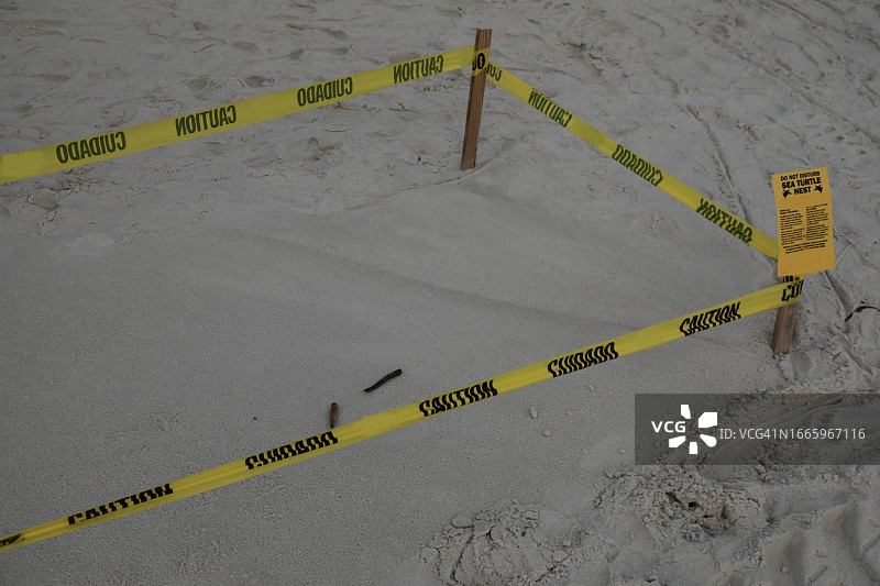 受保护的海龟巢穴栖息地图片素材