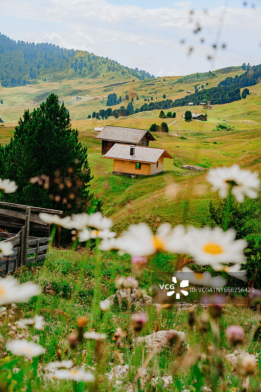 意大利多洛米蒂阿尔卑斯山锡瑟阿尔姆美丽风光图片素材