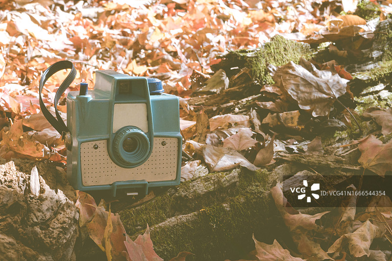 经典蓝色复古胶片相机和落叶图片素材