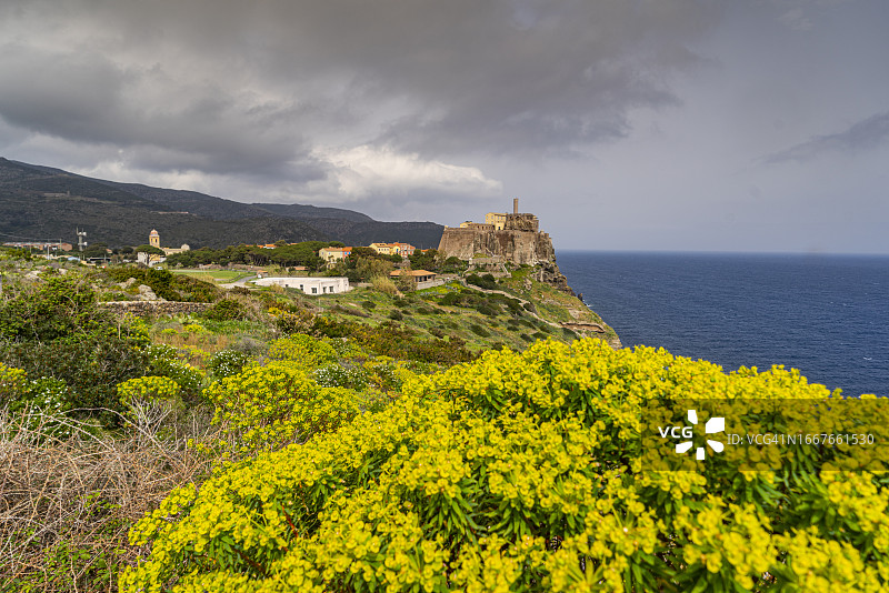 托斯卡纳，卡普拉亚岛图片素材