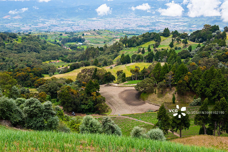 热带雨林景观图片素材