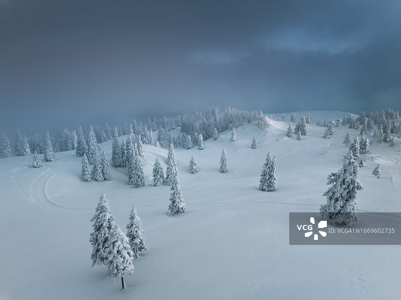 雪 capped 树木图片素材