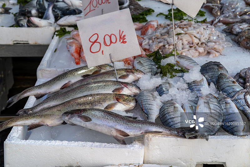 当地鱼市上的新鲜鱼类和海鲜图片素材