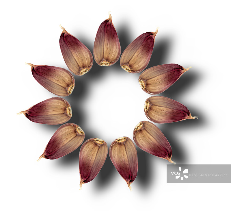 红色干蒜特写，白色背景上的圆形，带小阴影图片素材