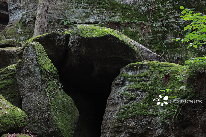 黑暗雨林中的洞穴图片素材