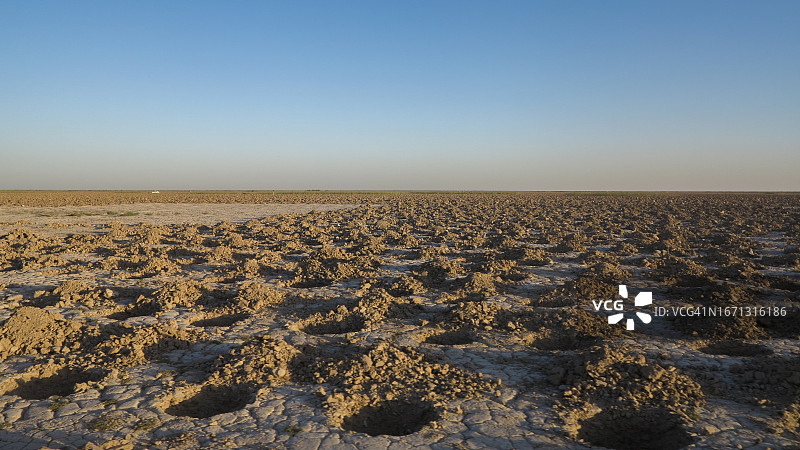 湖床上非法种植西瓜图片素材