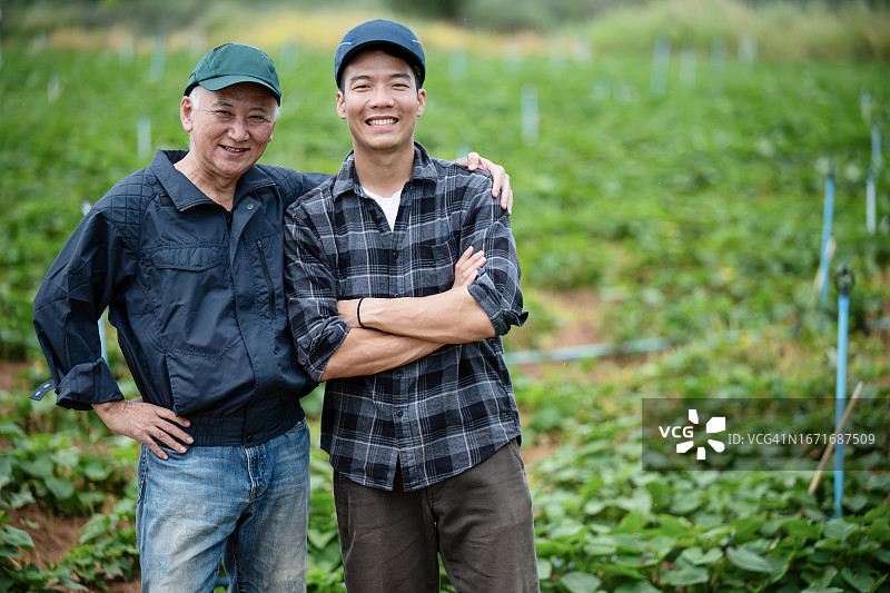 确保农业可持续运营中的食品安全图片素材