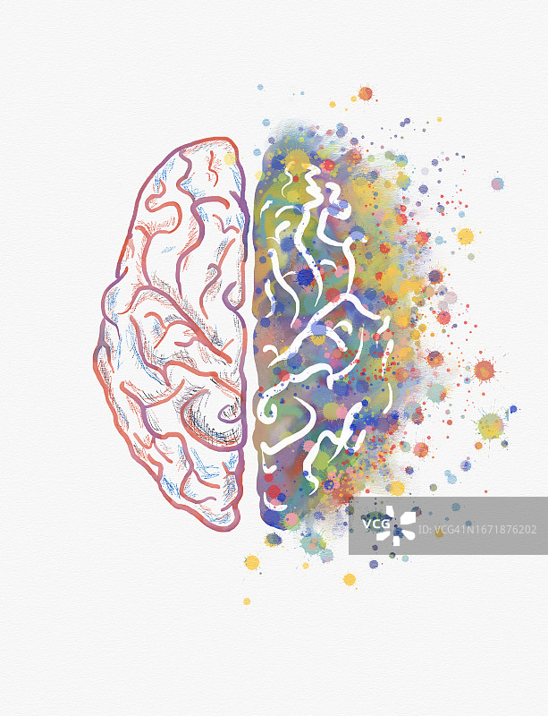大脑的创造力图片素材