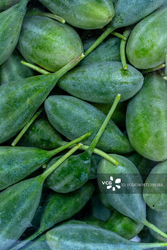 罐中的新鲜腌制刺山柑图片素材