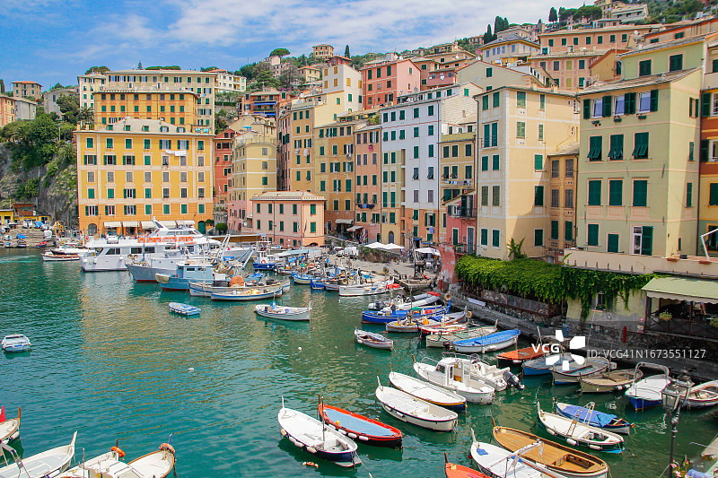 卡莫利图片素材