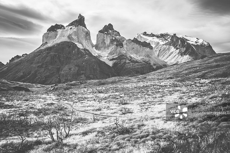 黑白托雷德尔潘恩国家公园图片素材