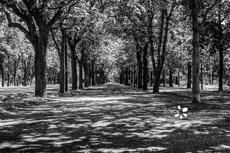 黑白普拉特公园图片素材