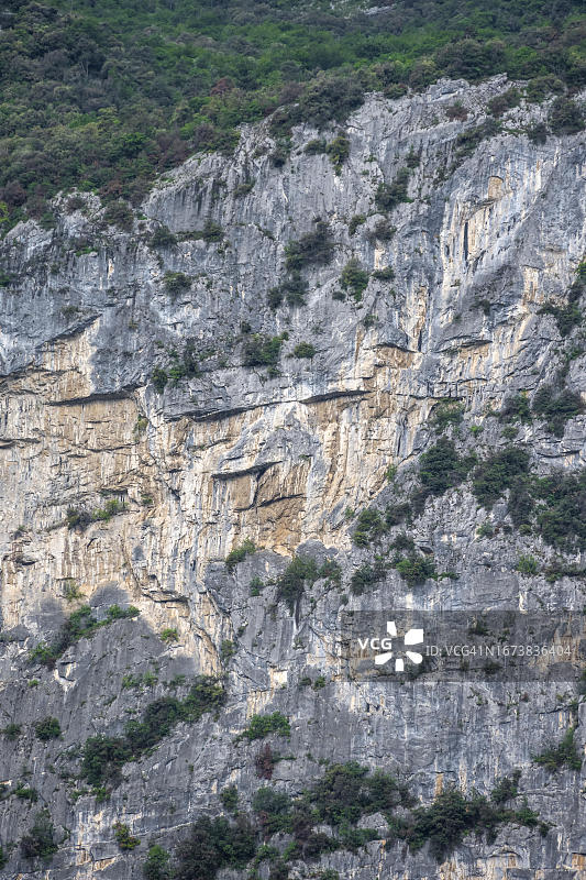 意大利特伦蒂诺-上阿迪杰阿科加尔达山脉岩石上的狮子图片素材