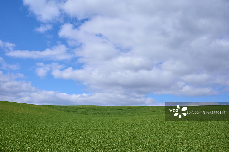 德国黑森州赖因海姆的麦田、云彩和春天图片素材