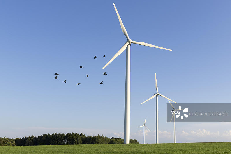 风力涡轮机，风力发电场，鸟群，乌鸦，德国巴登-符腾堡州图片素材