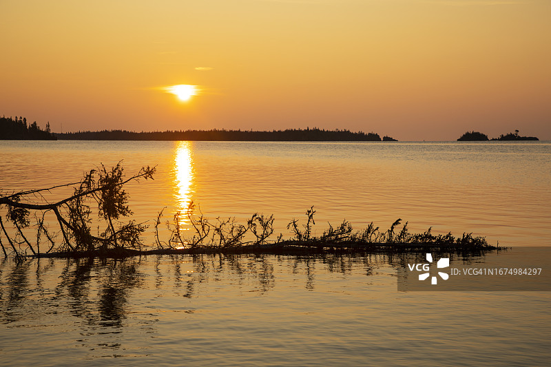 皇家岛国家公园的夏日日出图片素材
