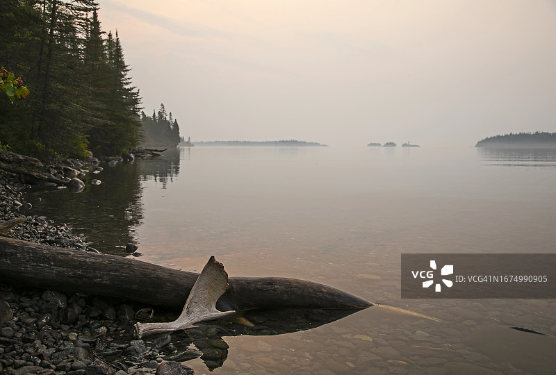 皇家岛国家公园的棚屋驼鹿角图片素材