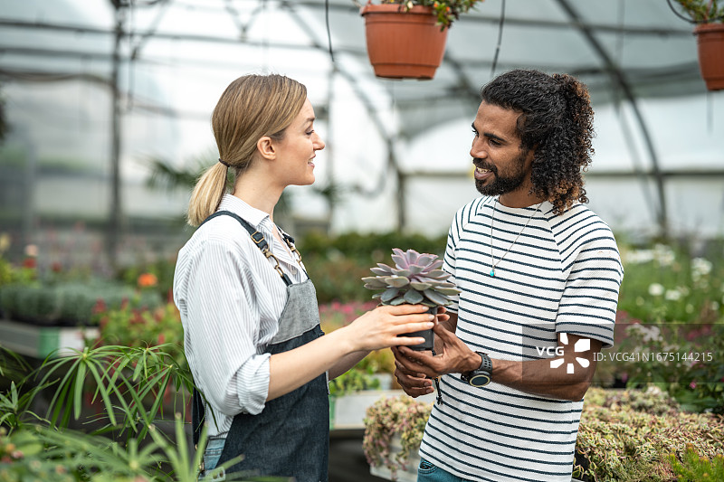 温室里的女售货员园丁和一位买家图片素材