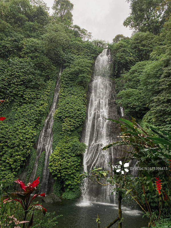巴厘岛巴纽马拉双子瀑布背景下的红色花朵图片素材