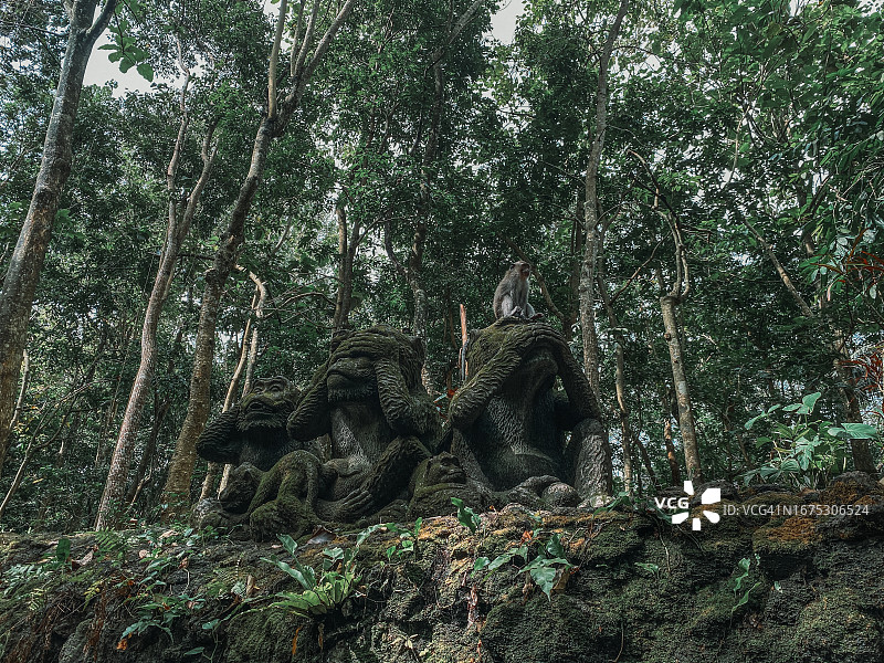 乌布猴林公园的三猿雕像上的猴子，位于印度尼西亚巴厘岛乌布图片素材